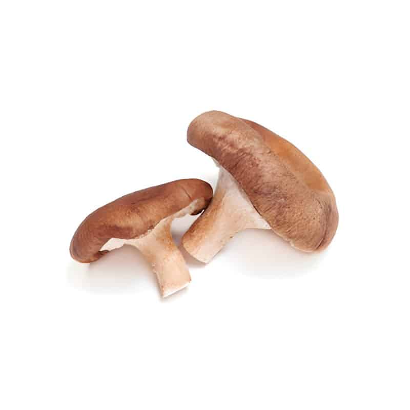 Local Shiitake Mushroom