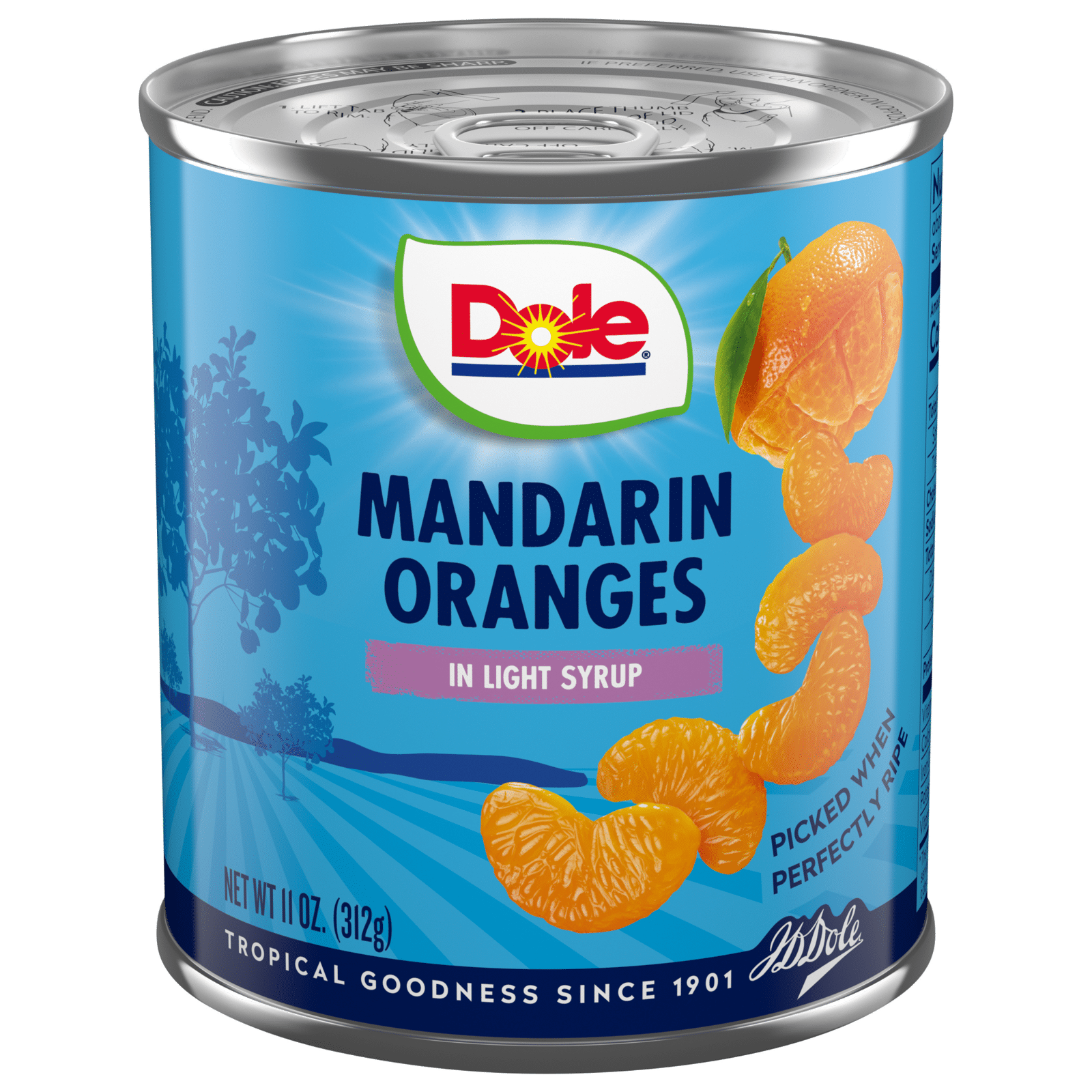 Dole Mandarin Oranges in Light Syrup