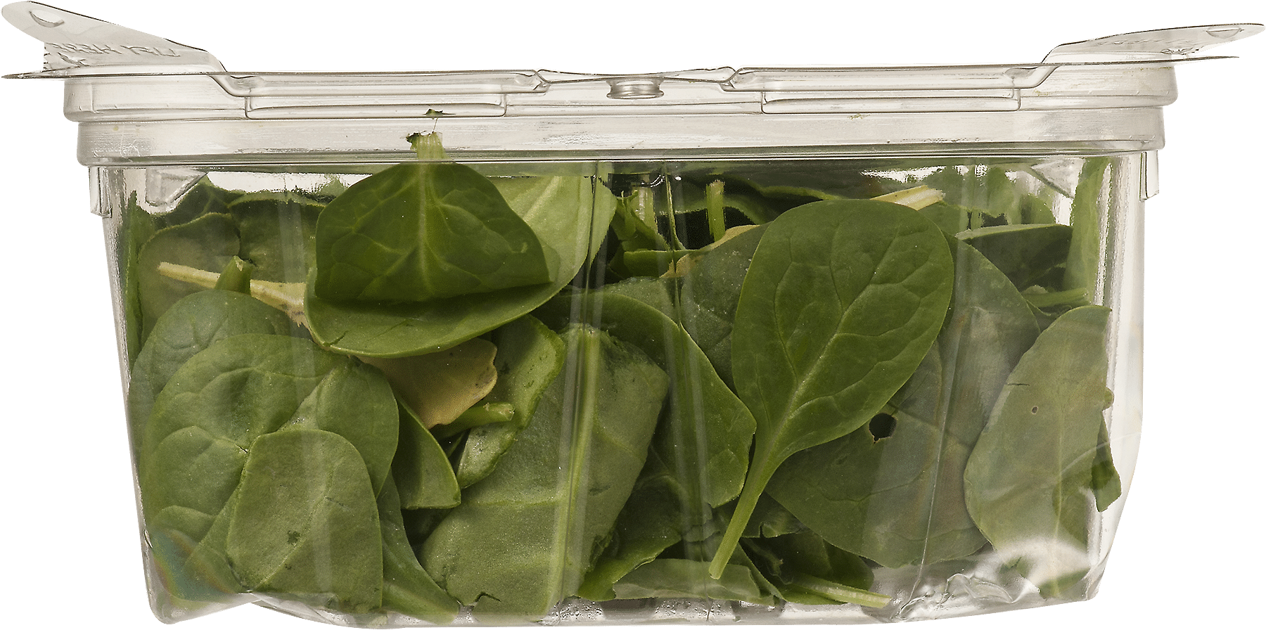 Earthbound Farm Organic Baby Spinach Blend