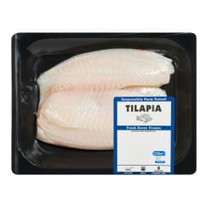 Fresh Tilapia Fillet