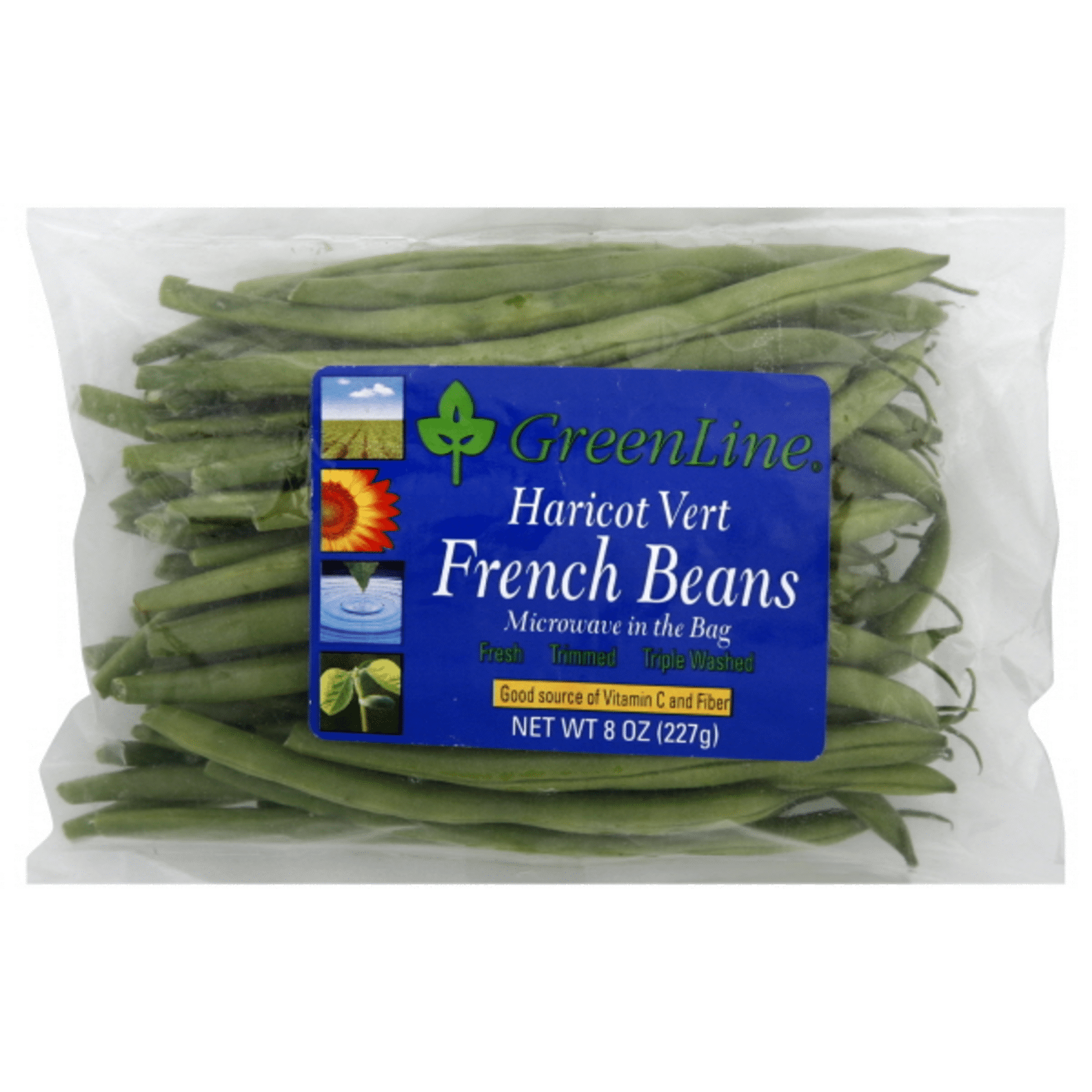 Green Line Haricot Vert French Beans