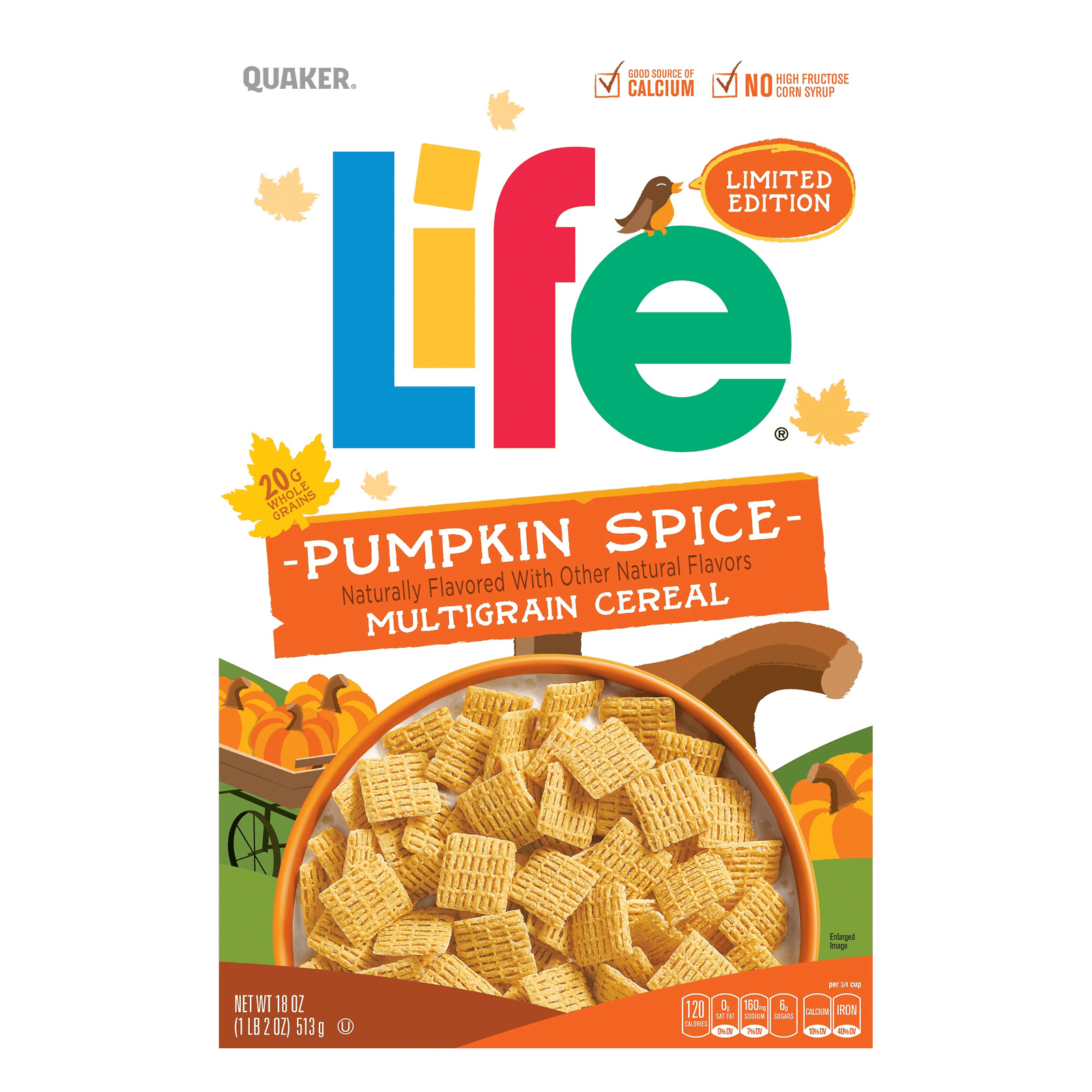 Life Pumpkin Spice