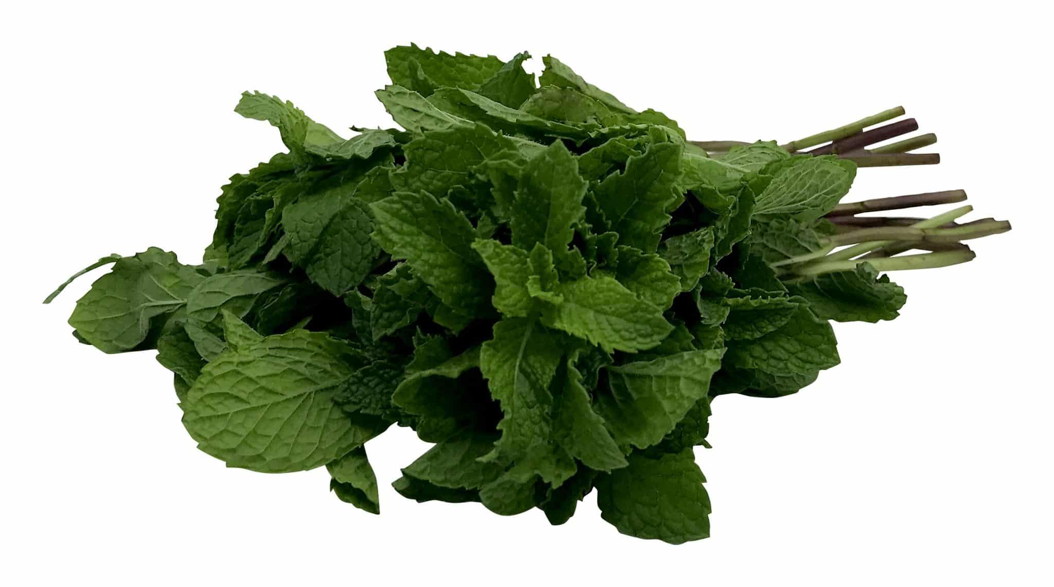 Montes Mint