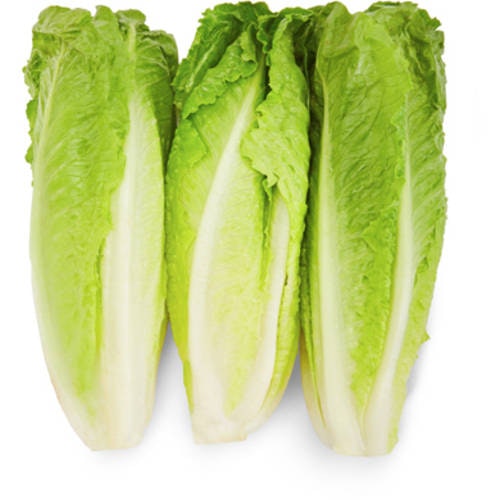 Organic Romaine Lettuce Hearts
