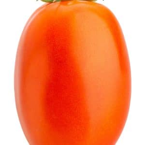 Plum/Roma Tomatoes
