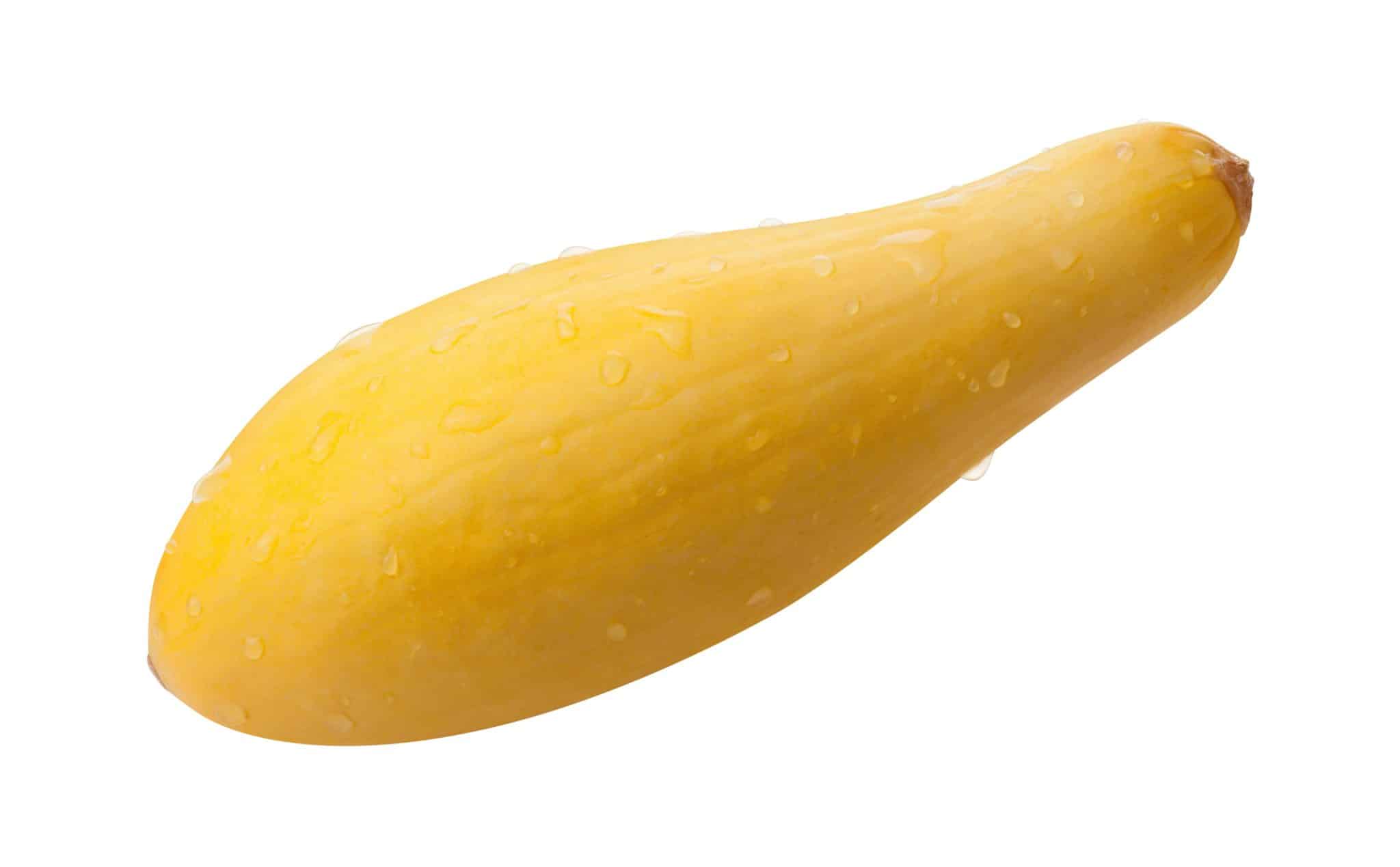 Straightneck Yellow Squash