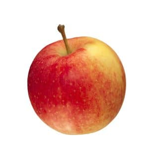 Sugar Bee Apples