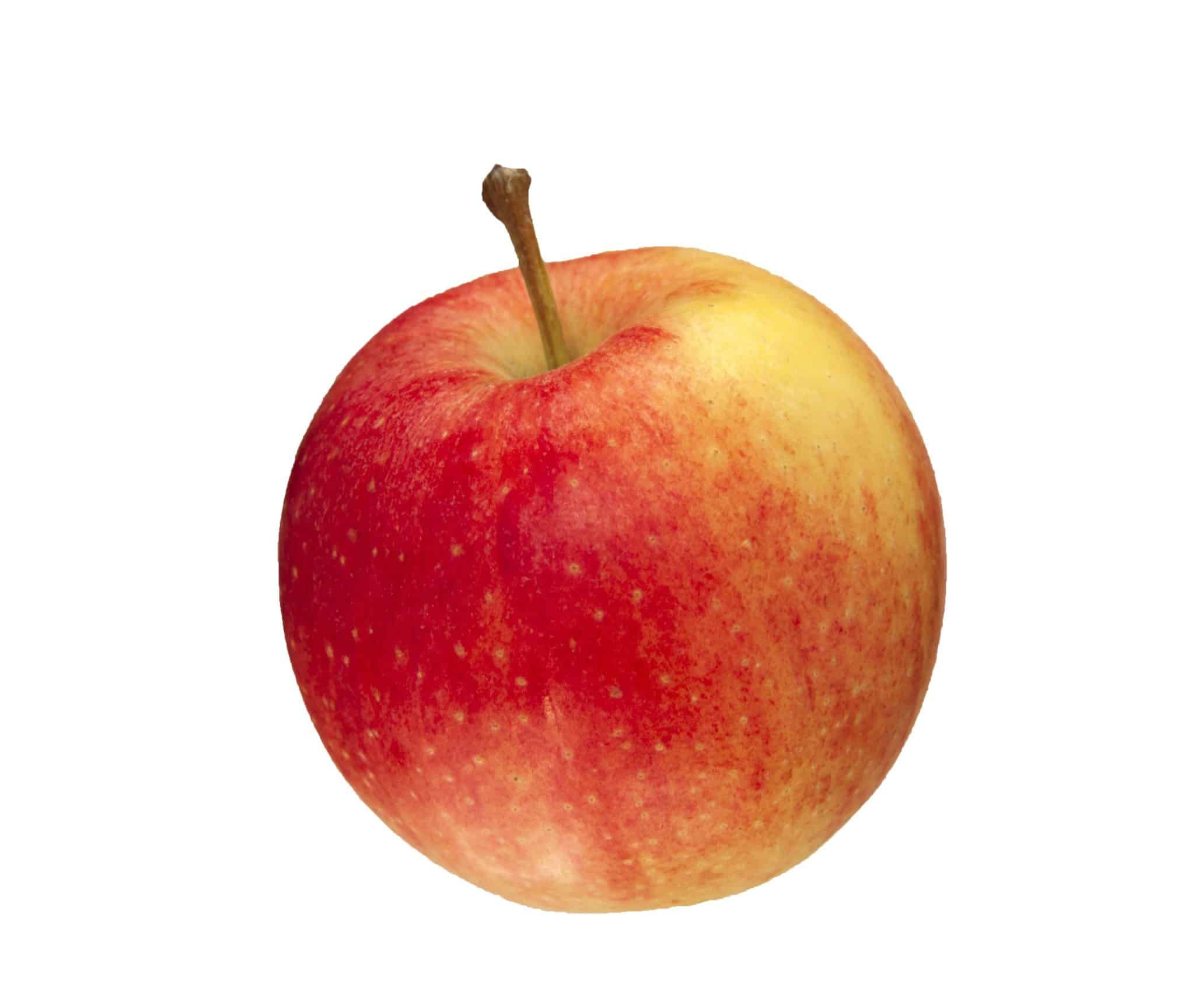 Sugar Bee Apples