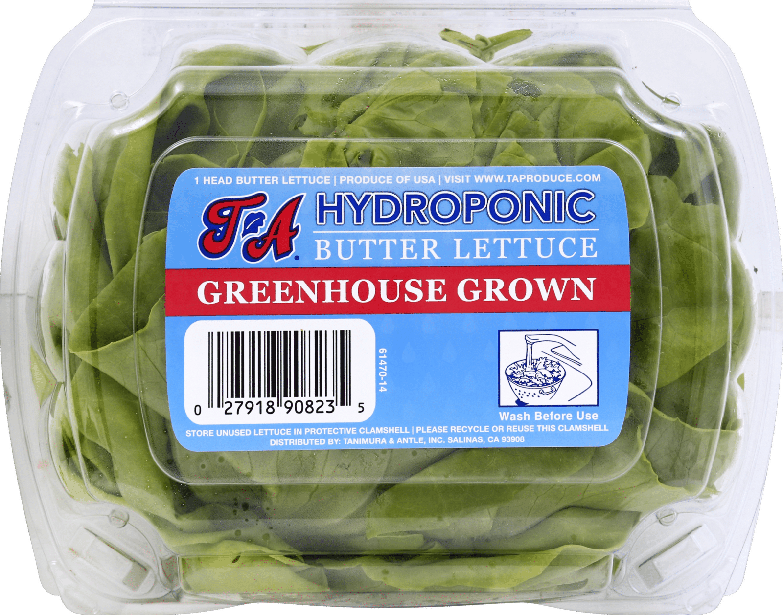 Tanimura & Antle Hydroponic Butter Lettuce 1 ea