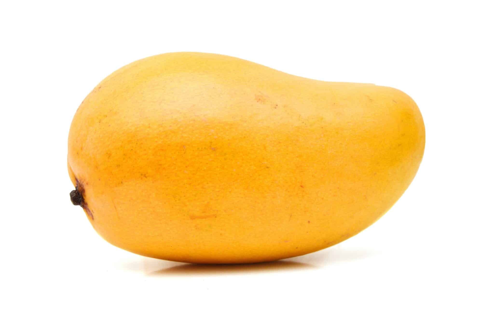 Yellow Manila Mango